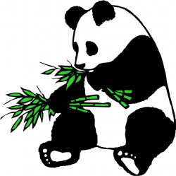 Cartoon Panda Eating Bamboo clipart free image