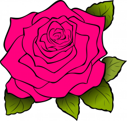 Pink Rose Border Panda Free Images clipart free image