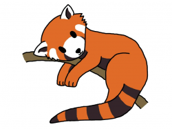 Red panda clipart 2 – Gclipart.com