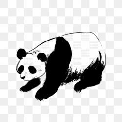 Tilt Stand Panda, Panda Clipart, Panda, Dancing Panda PNG ...