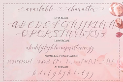 Pandora Calligraphy Font - Befonts.com