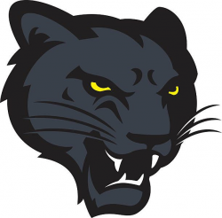 Panther Head vector art illustration | Mascot design, Animal ...