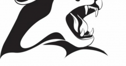Panther clipart outline, Panther outline Transparent FREE ...