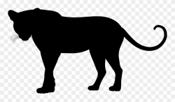Leopard Felidae Cheetah Black Panther Jaguar - Leopard ...
