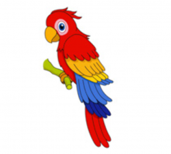 Free Parrot Cliparts, Download Free Clip Art, Free Clip Art ...