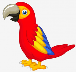 Hand Painted Parrot | Cartoon birds, Parrot drawing, Parrot ...