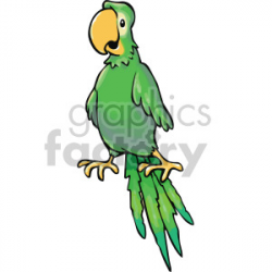 parrot clipart - Royalty-Free Images | Graphics Factory