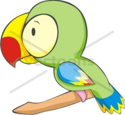 Baby Parrot - Bird - Animals - Buy Clip Art | Buy ...