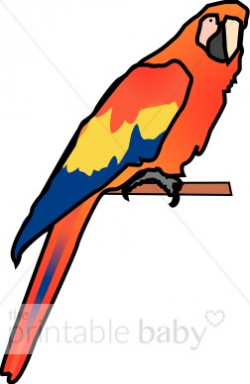 Parrot Clipart | Bird Clipart