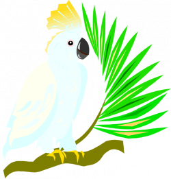 Free Cockatoo Cliparts, Download Free Clip Art, Free Clip ...
