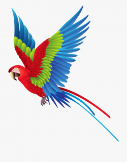 Colourful Parrot Png Clipart - Colorful Flying Birds Png ...