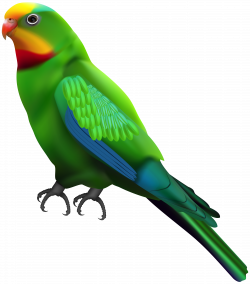 Green Parrot Transparent Clip Art Image | Gallery ...
