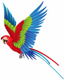 Colourful Parrot PNG Clipart - Best WEB Clipart