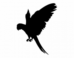 Download for free 10 PNG Parrot clipart silhouette top ...