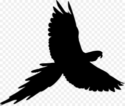 Eagle Bird clipart - Parrot, Bird, Silhouette, transparent ...