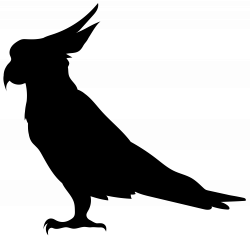 Parrot Silhouette PNG Transparent Clip Art Image | Gallery ...