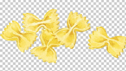 Pasta Italian Cuisine Spaghetti Noodle Illustration PNG ...