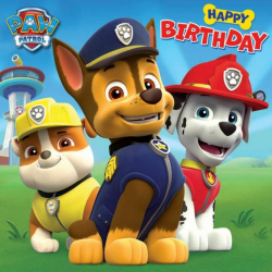 Happy Birthday Paw Patrol Birthday Card £1.79 | Party, Party, Party ...