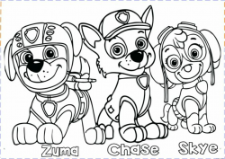 Coloring Ideas : 48 Outstanding Paw Patrol Birthday Coloring Pages ...