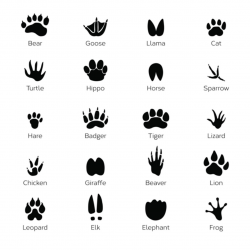 Awesomely Cute Paw Print Clip Art Designs You\'ll Instantly ...