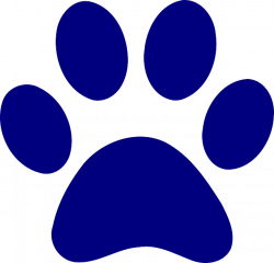 Free Image on Pixabay - Print, Dog, Bear, Paw, Blue in 2019 ...