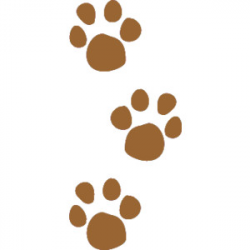 79+ Paw Print Clip Art | ClipartLook