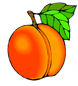 Free Peach Cliparts, Download Free Clip Art, Free Clip Art ...