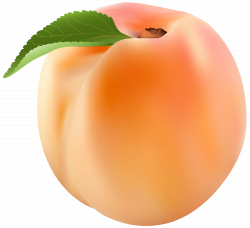 Peach PNG Clip Art Image | Gallery Yopriceville - High ...