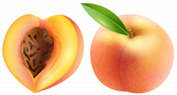 Free Peach Cliparts, Download Free Clip Art, Free Clip Art ...