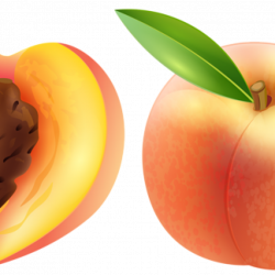 Peaches clipart animated, Peaches animated Transparent FREE ...