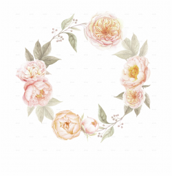 Peach Flower Clipart Border, Transparent Png Download For ...