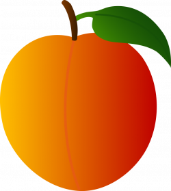Peach large cute fruit clipart image – Gclipart.com