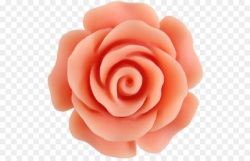 Watercolor Pink Flowers clipart - Rose, Flower, Peach ...