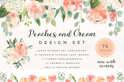 Peaches & Cream Flower Graphic Set - Design Cuts