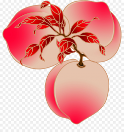 Longevity peach Auglis - Peaches png download - 865*950 ...