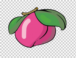 Auglis Longevity peach, peach PNG clipart | free cliparts ...