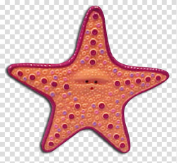 Peach Nemo Gurgle Starfish, real starfish transparent ...