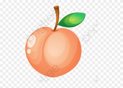 Peach Clipart Fruit - Png Download (#4986851) - PinClipart