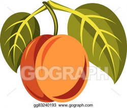 EPS Illustration - Vegetarian organic food simple ...