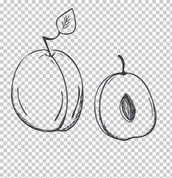 Peach Graphic design, Simple plum PNG clipart | free ...