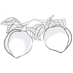 Free Peaches Cliparts, Download Free Clip Art, Free Clip Art ...