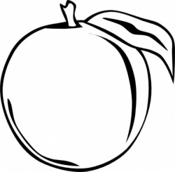 Free Peach Cliparts, Download Free Clip Art, Free Clip Art ...
