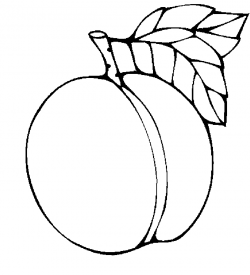 Peach Clipart Black And White | Free download best Peach ...