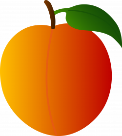 Peach Free content Fruit Clip art - Peach Cliparts png ...