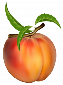 Peach Transparent PNG Clipart Picture | Gallery ...