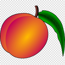 Peach County, Georgia , peach transparent background PNG ...