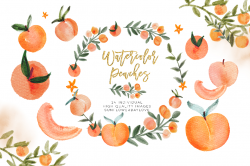 Watercolor Peach Clip Art, Peach leaves Clipart
