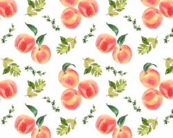 Peaches watercolor clipart, Peaches illustration, Watercolor ...