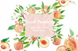 Peach. Watercolor clip art. By LABFcreations | TheHungryJPEG.com