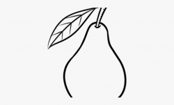 Pear Clipart Line Drawing - Pear Black And White #282244 ...